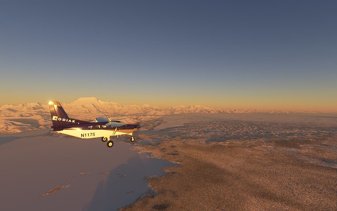 Microsoft Flight Simulator 1_8_2022 3_20_08 PM