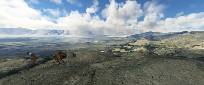 FlightSimulator_fs1flFSbMz
