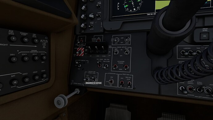 Microsoft Flight Simulator Screenshot 2023.01.05 - 21.40.01.38