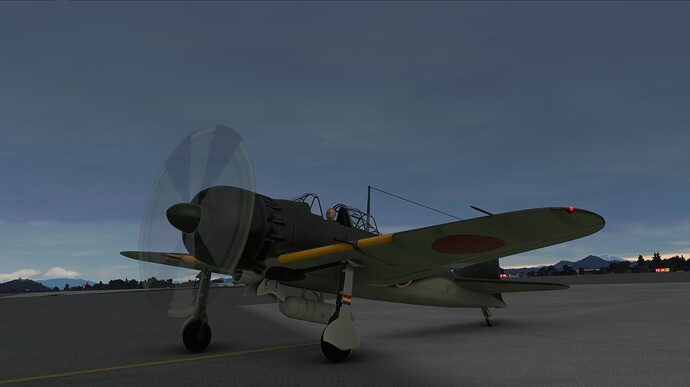 2021-10-30 17_19_48-Microsoft Flight Simulator - 1.20.6.0
