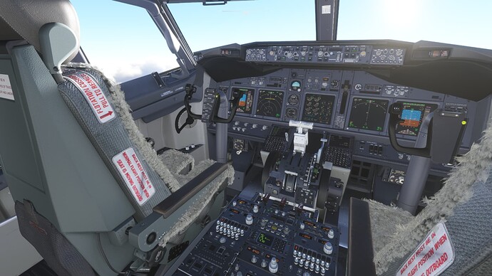 Microsoft Flight Simulator 10_05_2022 09_32_47