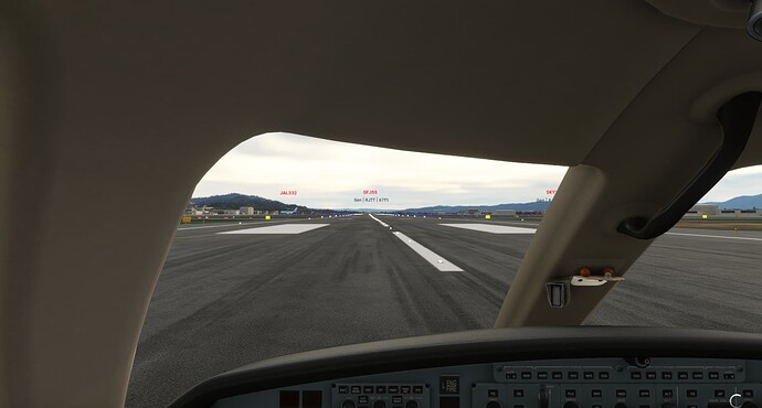 Microsoft Flight Simulator 11_5_2021 8_52_31 AM