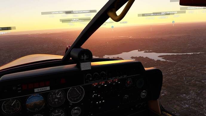 Microsoft Flight Simulator 8_1_2021 7_38_06 PM