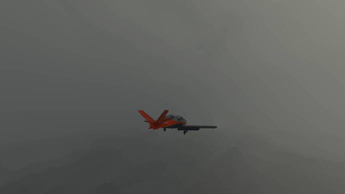 Microsoft Flight Simulator (47)