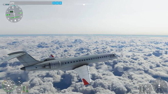 Microsoft Flight Simulator 10_08_2021 22_19_27