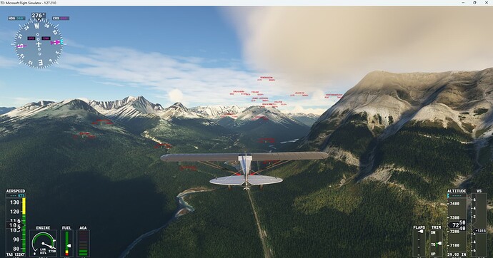 Microsoft Flight Simulator 10_7_2022 9_26_44 PM