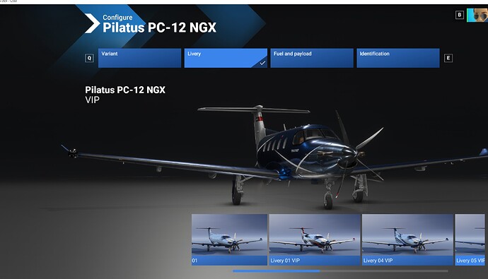 PC12 VIP livery