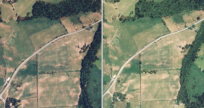 Ground texture comparison FS2020 to FS2024