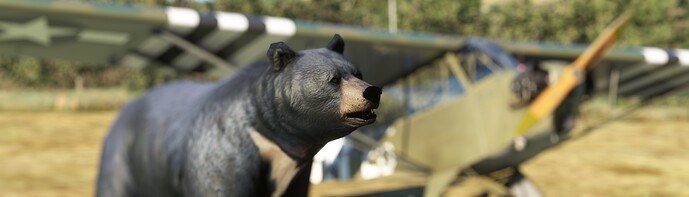 bear15