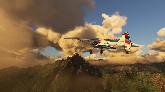Microsoft Flight Simulator 8_30_2022 9_02_30 PM