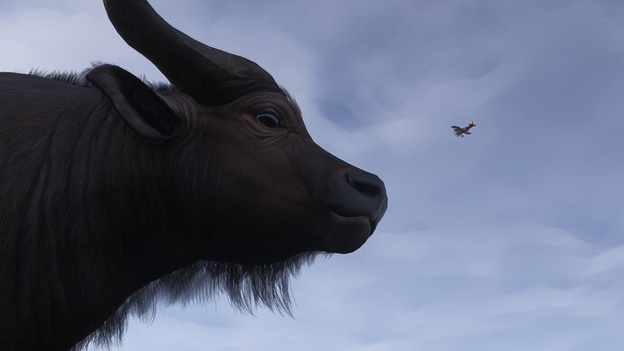 Microsoft Flight Simulator 2024 11_04_2025 17_18_11