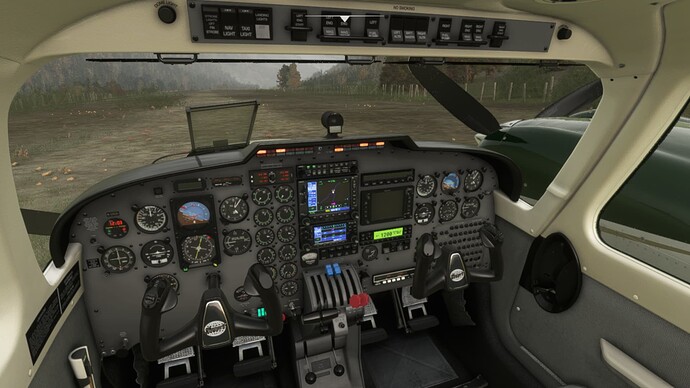 Microsoft Flight Simulator 22.01.2022 01_31_58