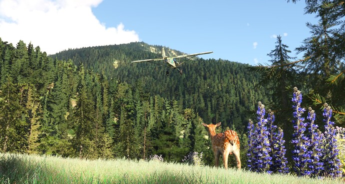 Microsoft Flight Simulator Screenshot 2024.04.15 - 19.53.25.30b