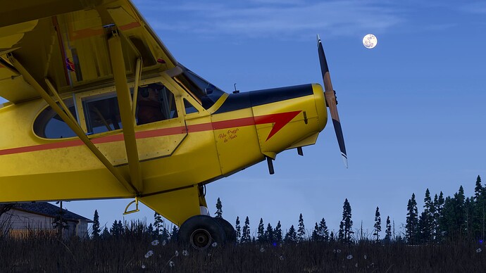 Microsoft Flight Simulator 2024-2025_03_14-03-14-25