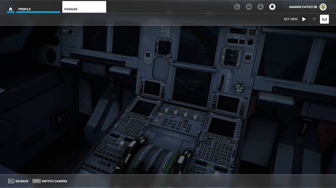 Microsoft Flight Simulator 03.08.2021 13_05_18