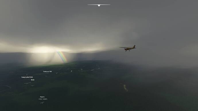 Microsoft Flight Simulator 8_2_2021 1_16_25 PM