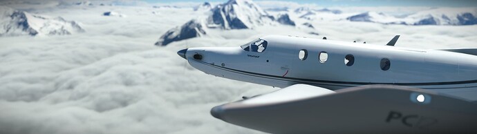 Microsoft Flight Simulator Screenshot 2023.12.04 - 20.41.44.05