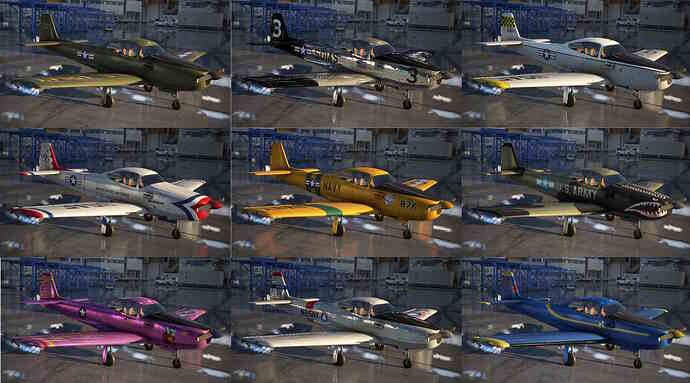 1st - 9 L-17B Liveries