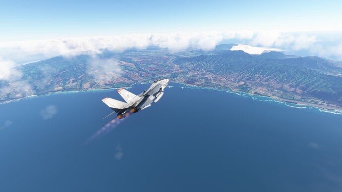 Microsoft Flight Simulator 12_7_2023 6_40_57 PM