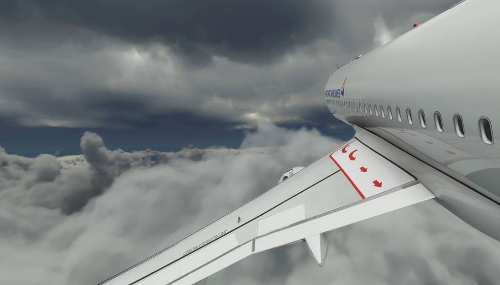 There is no bad weather for this little bird - Screenshots & World  Discovery - Microsoft Flight Simulator Forums