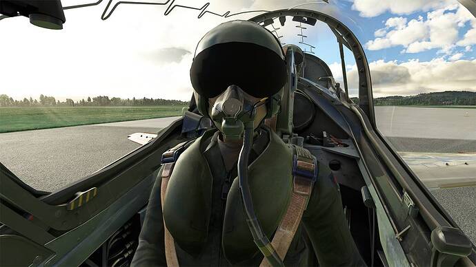 hawk cockpit1