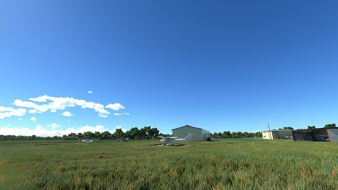 Microsoft Flight Simulator 11_28_2022 11_36_55 AM