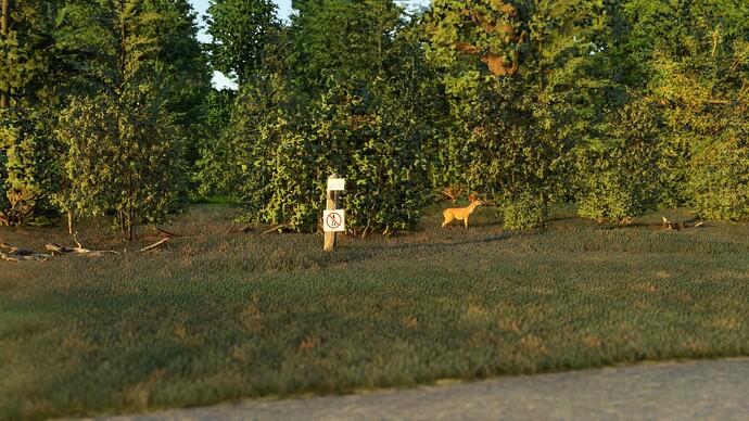 Screenshot 2024-07-21 174018