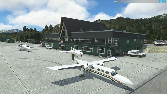 Microsoft Flight Simulator Screenshot 2022.06.18 - 20.45.20.14