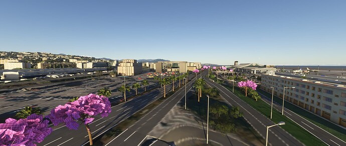 Microsoft Flight Simulator 2024 02_03_2025 16_15_04