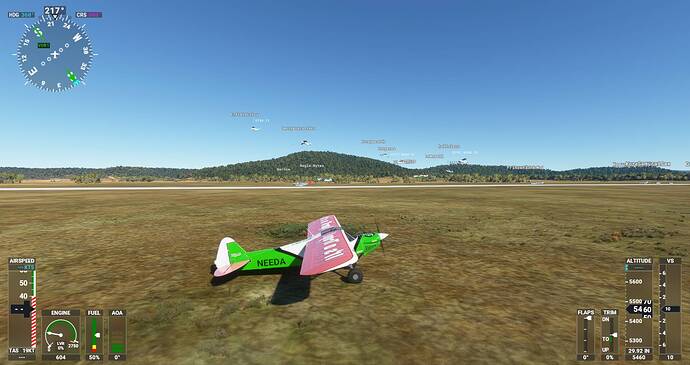Microsoft Flight Simulator Screenshot 2021.07.01 - 21.15.49.49