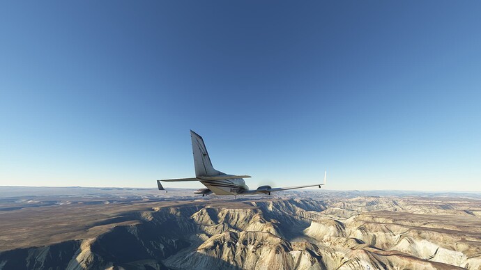 Microsoft Flight Simulator-2024_08_03-07-27-15 (1)