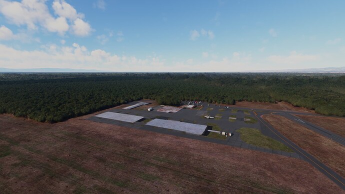 Microsoft Flight Simulator 1_19_2024 1_12_44 PM