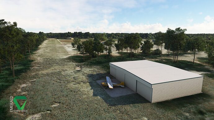 ESD_67FL_Myakka_WIP_Private_Airstrip