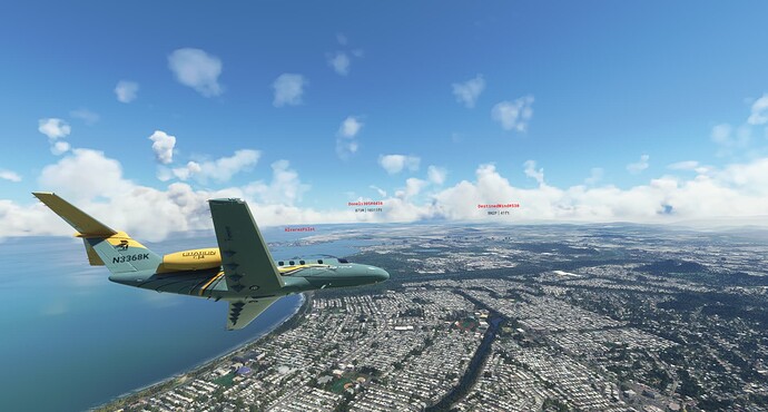 Microsoft Flight Simulator 11_29_2021 11_23_25 AM