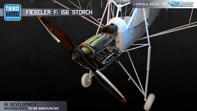 storch11