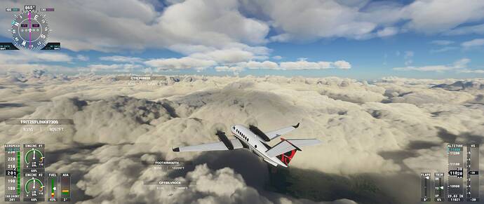 Microsoft Flight Simulator 23_08_2021 21_01_05
