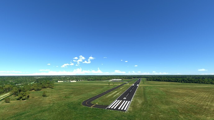 Microsoft Flight Simulator 11_28_2022 11_40_27 AM