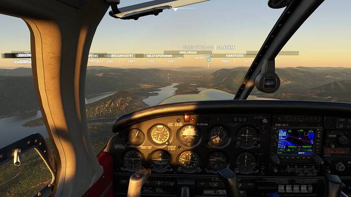 Microsoft Flight Simulator 7_30_2021 8_36_19 PM