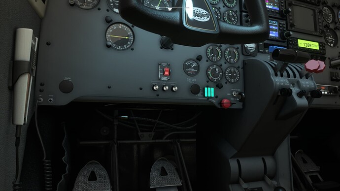 Microsoft Flight Simulator 22.01.2022 01_35_27