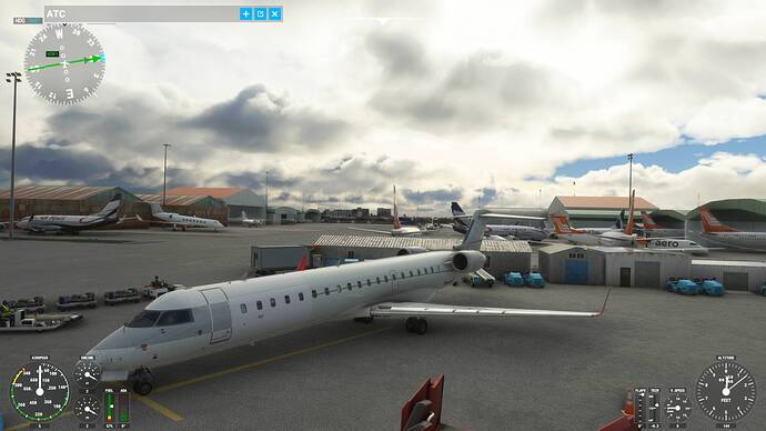 Microsoft Flight Simulator 10_08_2021 21_59_26