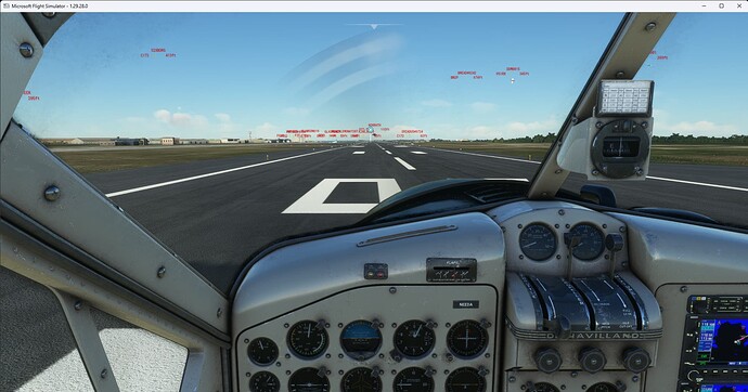 Microsoft Flight Simulator 25-Nov-22 8_43_23 PM