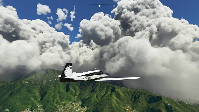 Microsoft Flight Simulator 08.08.2021 20_16_07