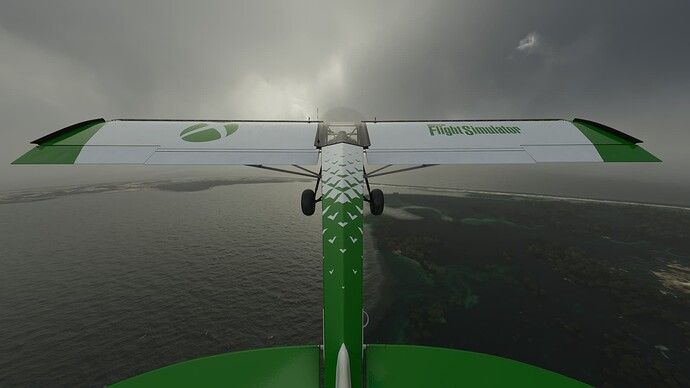 Microsoft Flight Simulator 2022-02-13 11_31_53 PM