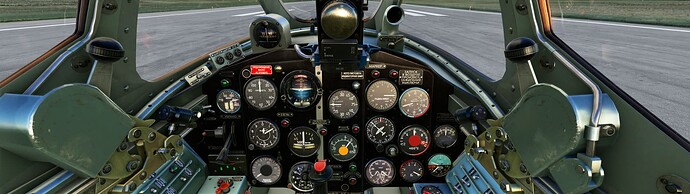 Microsoft Flight Simulator 3_2_2023 11_56_03 AM