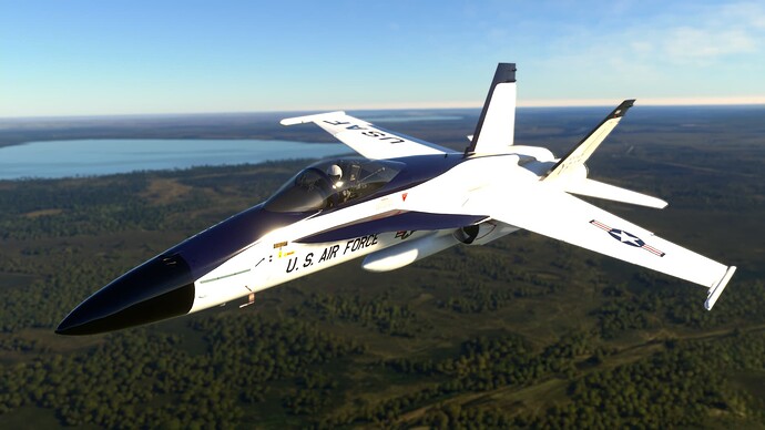 Microsoft Flight Simulator 25_01_2024 10_16_16 PM