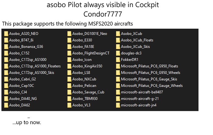 Pilots always visible in Cockpit