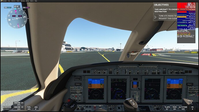 MSFS Devmode