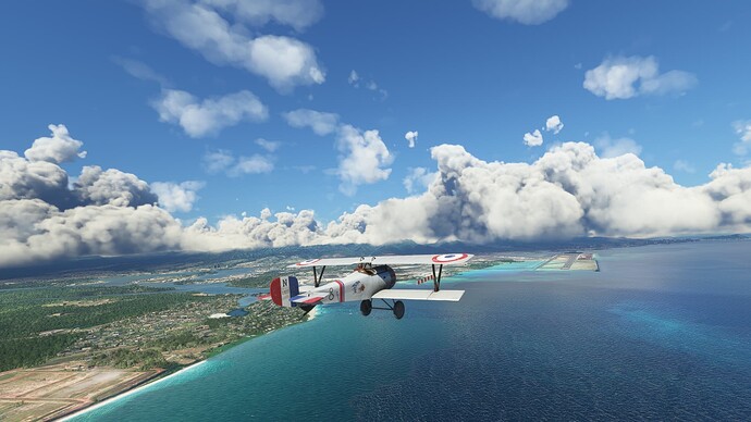 Microsoft Flight Simulator 4_9_2022 9_47_58 PM