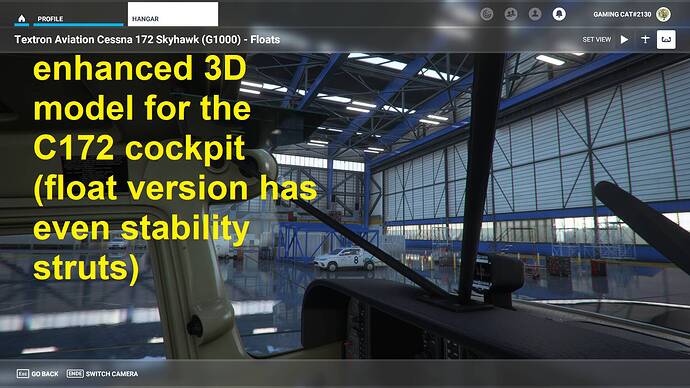 Microsoft Flight Simulator 29.07.2021 00_11_04