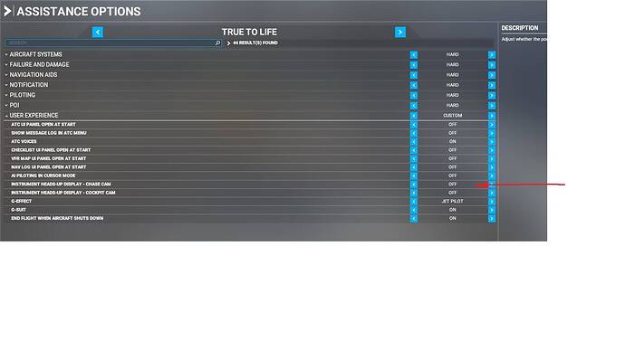HUD Off in MSFS